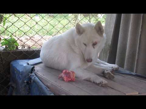 Видео: Письмо от подписчиков/День позитива/