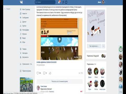 Видео: CatWar/Что случилось с Громом? Удалили?!