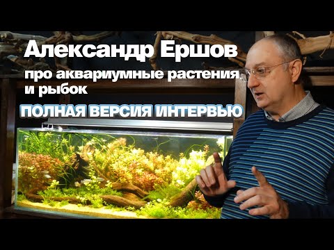Видео: Александр Ершов про растения и рыбок. Полная версия интервью