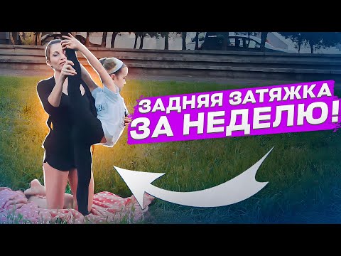 Видео: КАК СДЕЛАТЬ ЗАДНЮЮ ЗАТЯЖКУ ЗА НЕДЕЛЮ? Гибкая спина! Как развить гибкую спину!