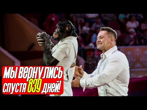 Видео: ЖЁСТКОЕ ИСПЫТАНИЕ - 839 ДНЕЙ без РАБОТЫ! ШИМПАНЗЕ Боня и Дан Запашный снова в ДЕЛЕ