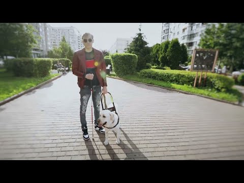 Видео: Знак Равенства. Собаки-поводыри