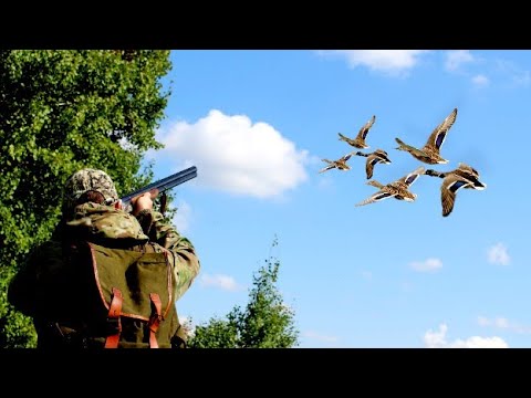 Видео: С Подхода! Одним Выстрелом Влёт взял Двух уток.