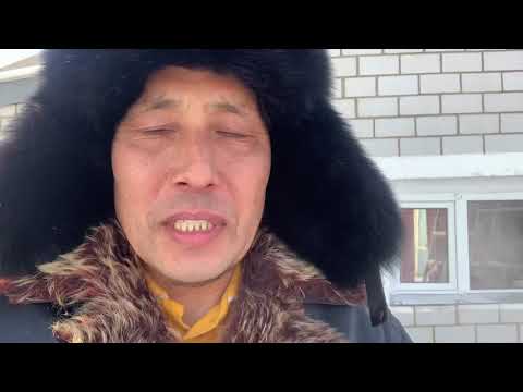 Видео: Жылқыны тез семірту(1 айда күйін қалай өзгертті)Быстрый откорм лошади(эффект от альбена через месяц)
