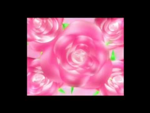 Видео: Ленинград_белые розы.flv