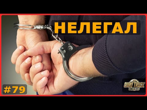 Видео: Незаконное пересечение границы – ETS2: Белград (SRB) → Подгорица (MNE) – Комнатные цветы #79