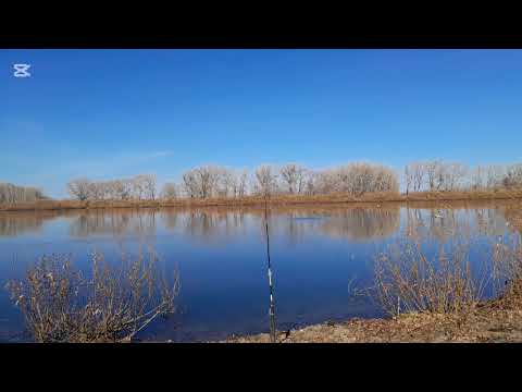 Видео: 20. 10. 25 г.Рыбалка на Урале