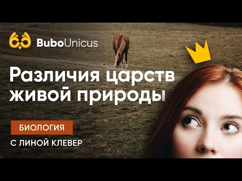 Видео: Различия Царств Живой природы | БИОЛОГИЯ ЕГЭ | Лина Клевер