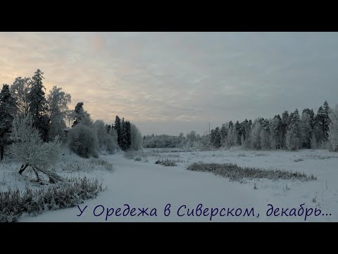 Видео: У Оредежа в Сиверском, декабрь...