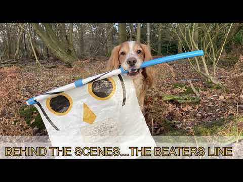 Видео: Стрельба по фазанам — The Beaters Line