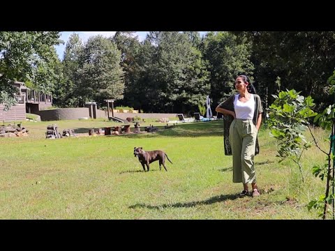 Видео: Последний Обзор Огорода | Лампы на Летней Кухне | Распаковка | Коммерческая Вафельница | Эгине