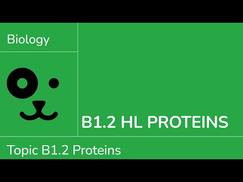 Видео: B1.2 Белки HL [IB Biology HL]