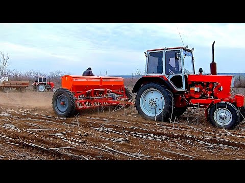 Видео: ‼️Густо не РОСТЕ,рідко теж- ЗОЛОТА СЕРЕДИНКА⁉️ ПРЯМИЙ ПОСІВ ЯРОГО ЯЧМЕНЮ 2023❌2ЮМЗ✌️