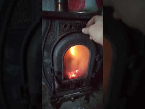 Видео: 20 ноября 2021 г.