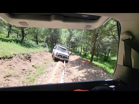 Видео: Вытаскиваем Ниву, Каранкуль и оленья ферма