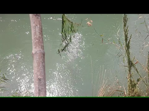 Видео: 5 день поиска, самостоятельно продолжаю поиски на ст Коксу