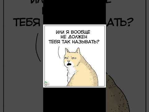 Видео: Кот узнал правду