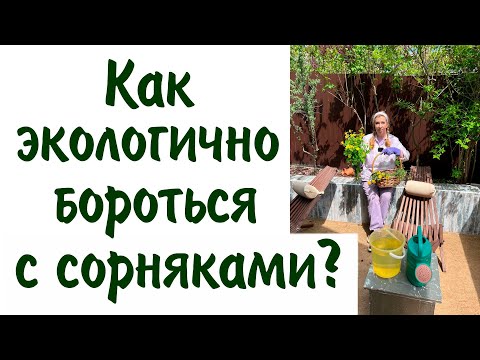 Видео: Как экологично бороться с сорняками?