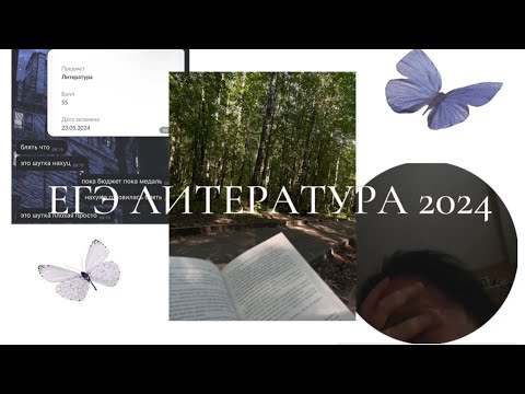 Видео: как я сдала егэ по литературе 2024