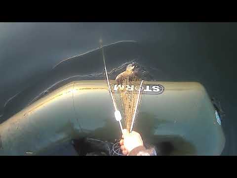 Видео: сеть 50-ка высокая