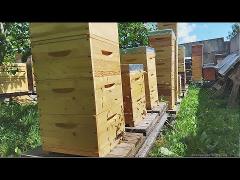 Видео: 12. Миниулей. Обзор конструкции.