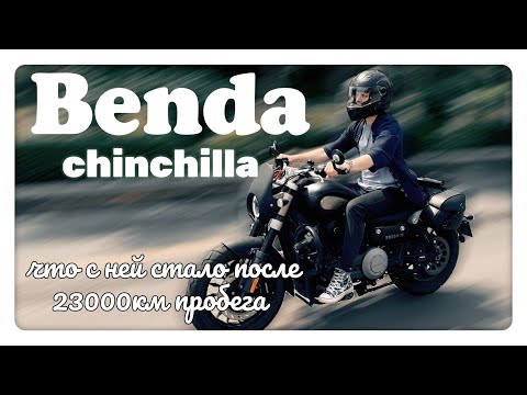 Видео: Benda-Chinchilla. -Интервью с Владельцем