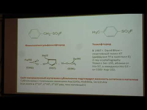 Видео: Клячко Н. Л. - Механизмы ферментативного катализа - 2. Сериновые протеазы