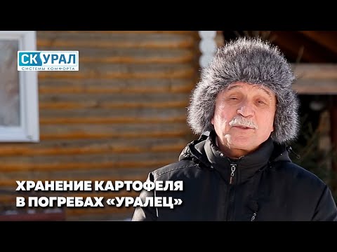 Видео: Хранение картошки в погребе "Уралец"