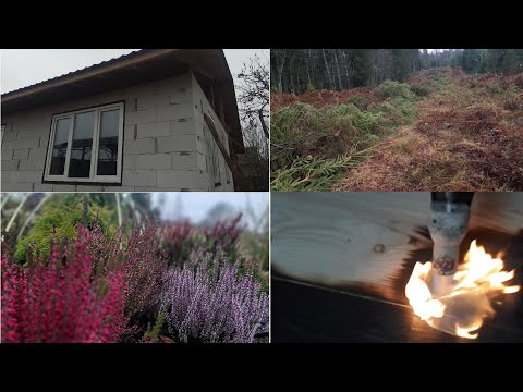 Видео: Защита саженцев деревьев от мышей.  Укрытие клематисов. Верески. И немного стройки