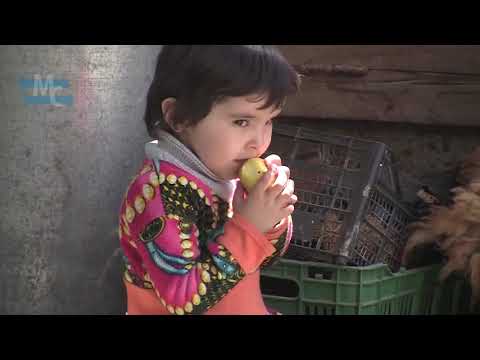 Видео: Ганапи Абуев - Сельминаз NEW 2020