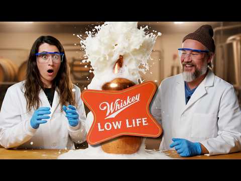 Видео: Мы переработали ВЫСОКУЮ ЖИЗНЬ в НИЗКУЮ | Перегоним ли мы ее?