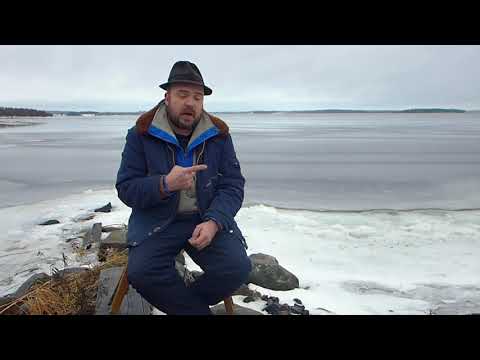 Видео: Тихий-КАК БРОСИТЬ ПИТЬ НАВСЕГДА  У тебя НЕТ ВЫБОРА! Личный Опыт