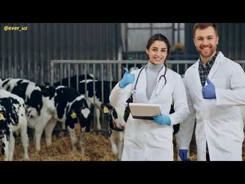 Видео: Новый председатель! Елена Карпук