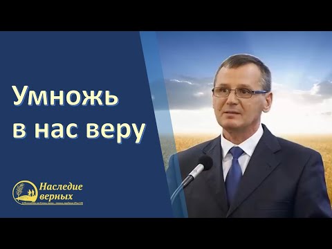 Видео: Библейский принцип умножения веры (Петр Костюченко)