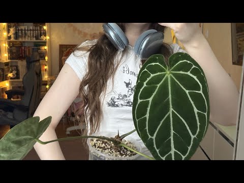 Видео: болтаю о растениях, книжные покупки, посылки от издательств и брендов и прогулка по костроме