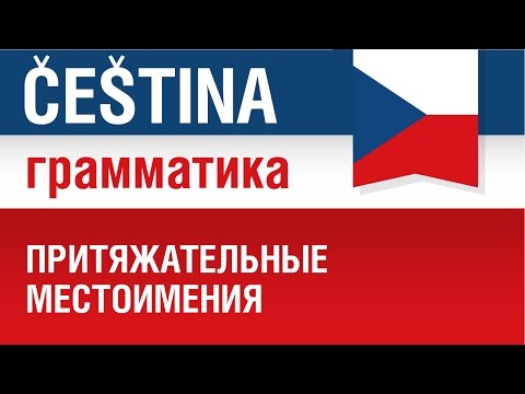 Видео: Притяжательные местоимения в чешском языке. Курс грамматики. Елена Шипилова