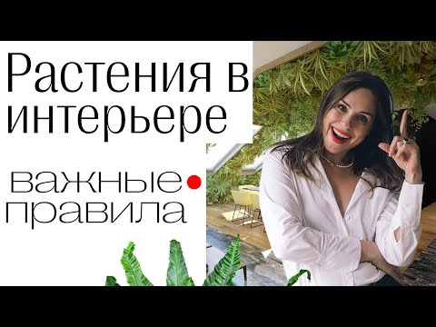 Видео: РАСТЕНИЯ В ИНТЕРЬЕРЕ квартиры и дома. Главные принципы + мастер-класс! Озеленение интерьера