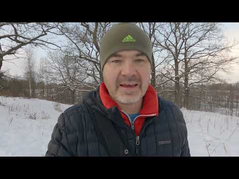 Видео: Наш новый друг - энтлебухер зенненхунд