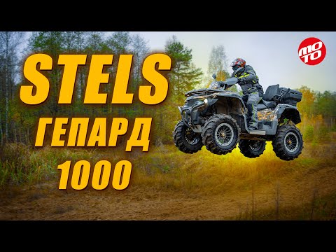 Видео: Новый Stels Guepard 1000 – о, что за тигр этот Гепард!