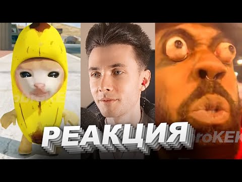 Видео: ХЕСУС СМОТРИТ TIK TOK: МЕМЫ ИЗ ТИКТОКА РОФЛЯННАЯ СОЛЯНКА 64 | ДОБРОКЕК | РЕАКЦИЯ