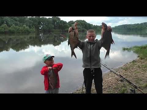 Видео: Ловим ЛЕЩА большой весёлой компанией! Рыбалка на Оке!
