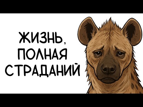 Видео: Почему быть гиеной - отстой? (Анимация)