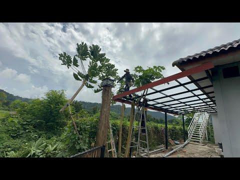 Видео: Птиц утром смешной. Опять электричество 7w вместо 230w. У нас жара и разговоры с вами из гамака