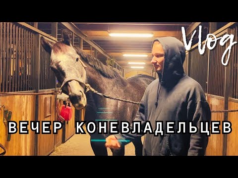 Видео: Вечер коневладельцев
