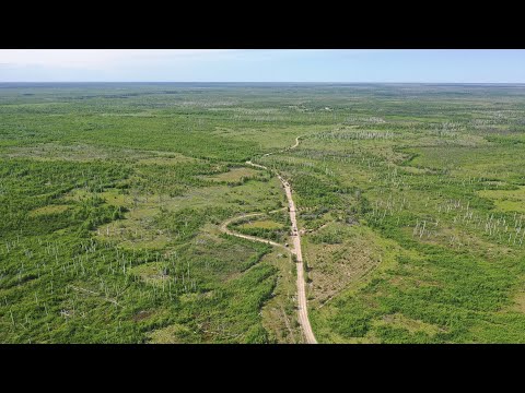 Видео: Экспедиция выходного дня "В гости к клещу Валере". Рязанская мещера, Спасск-Рязанский, Старая Рязань