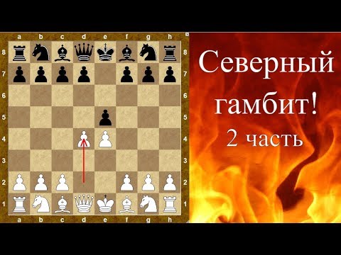 Видео: Шахматы дебюты. Северный гамбит! (2 часть)