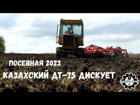 Видео: Казахский ДТ-75 с дисковой бороной. Подготовка к севу