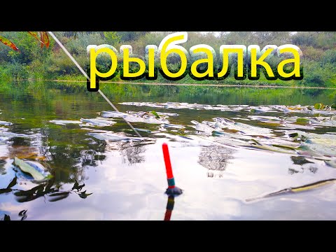 Видео: Рыбалка в сенятбре . они всё таки клюнули!