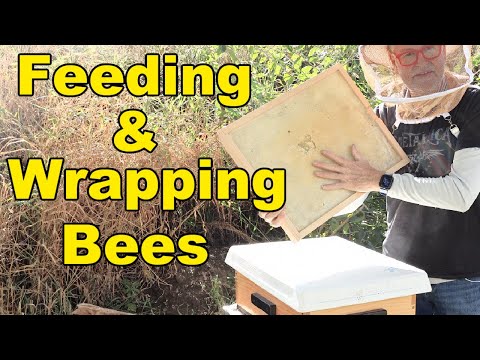 Видео: Пчеловодство: как кормить и укрывать пчёл на зиму