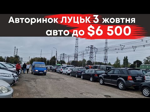 Видео: Авто до $6500 на Луцькому авторинку 3 жовтня #авториноклуцьк